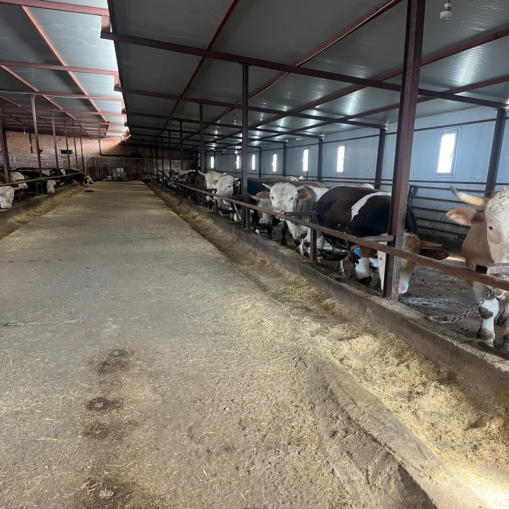 galeri_20260301_140807_24eda2dba92e89040181