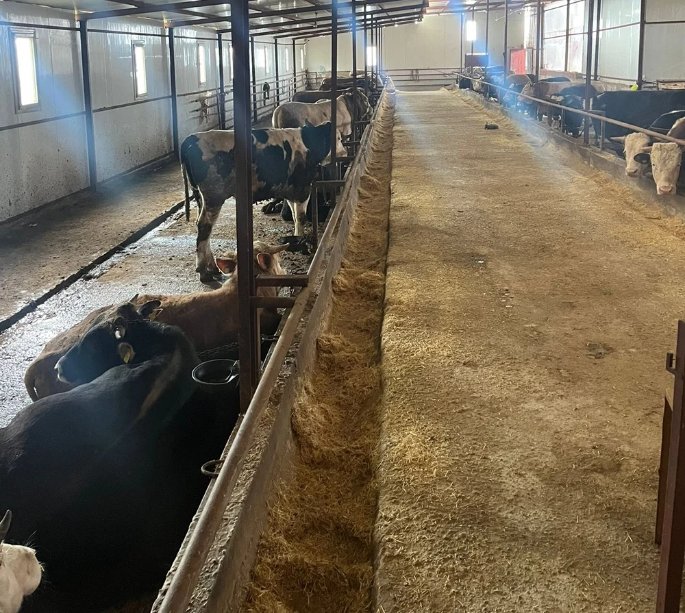 galeri_20260301_140807_3b54a1268f28d5068322