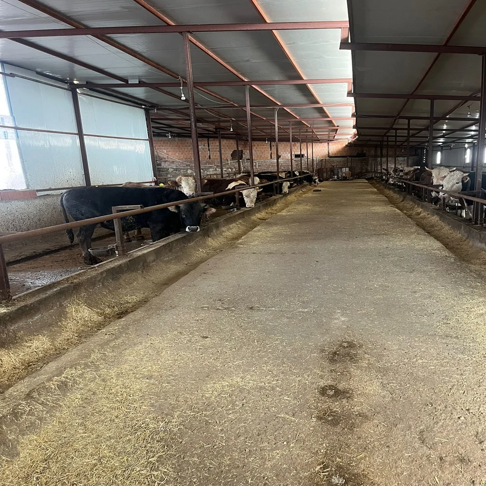 galeri_20260301_140807_49432bfea9854f678c73