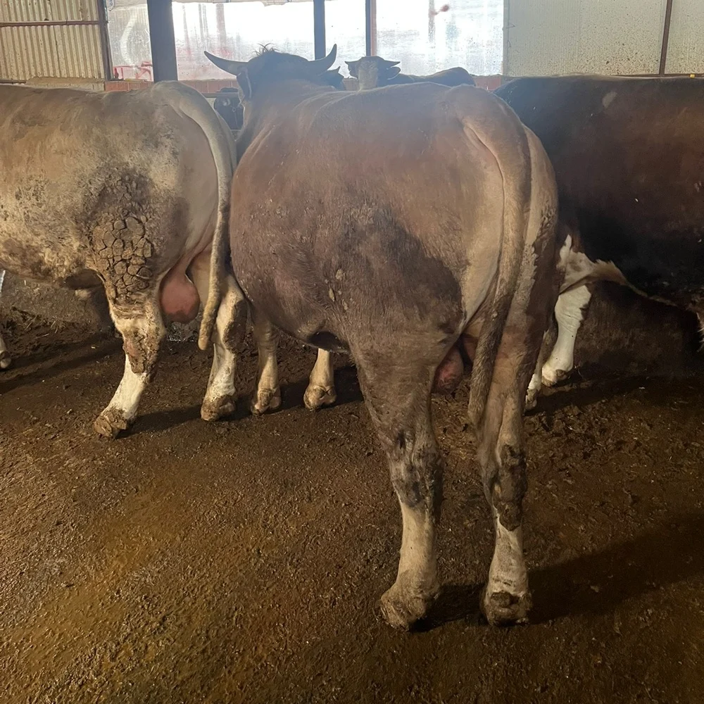 galeri_20260301_140807_62d1340bc795b2d6f97d