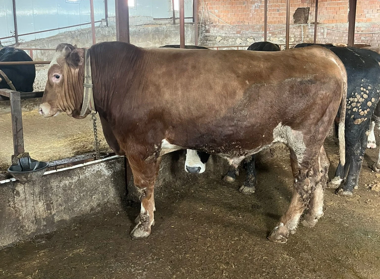 galeri_20260301_140807_73d53ba8269cbb97abc5