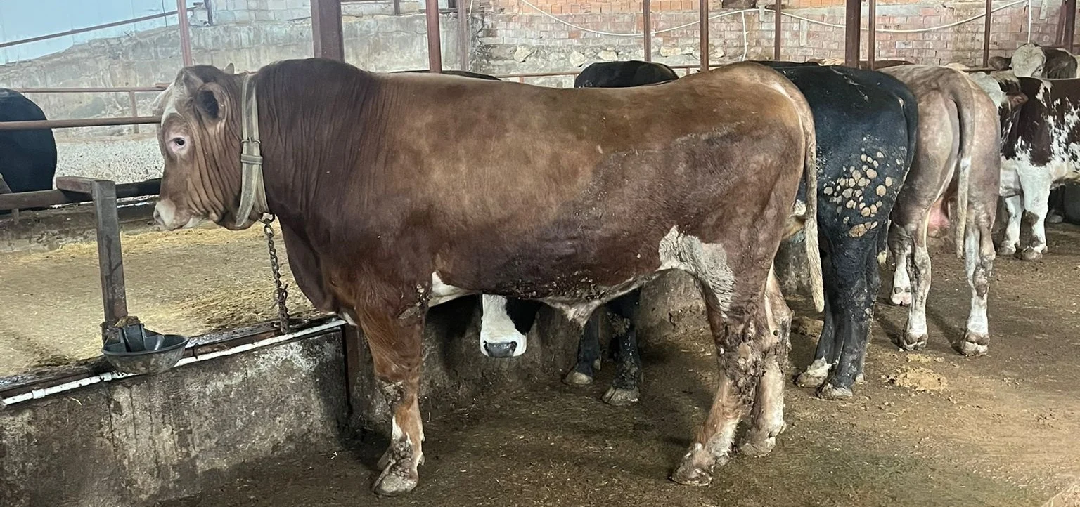 galeri_20260301_140807_b2ab03989cd5b091b69e