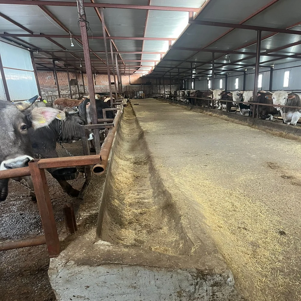 galeri_20260301_140808_42707db808498d69eff3