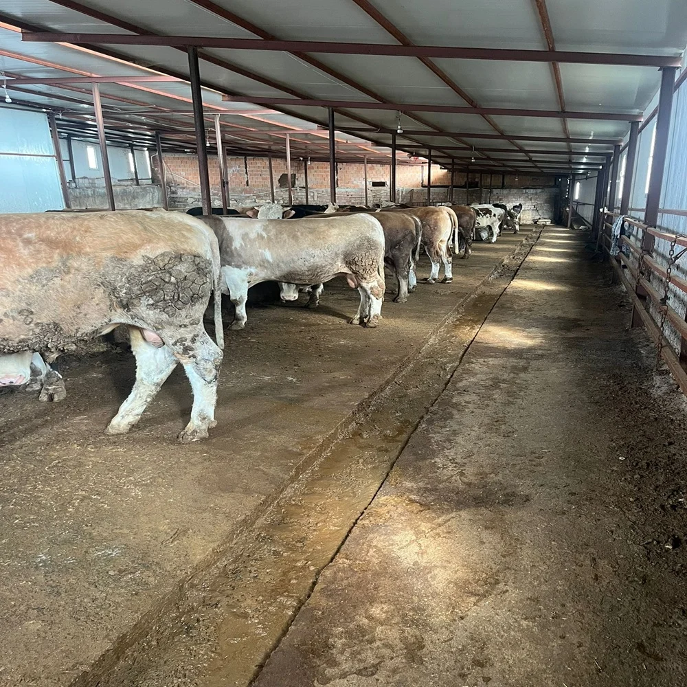 Orhangazi Besi Çiftliği